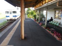 43511.jpg