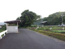 43538-3.jpg