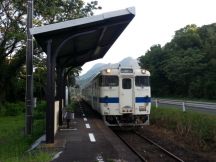 43540.jpg