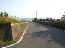 43544-2.jpg