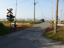 43544-3.jpg