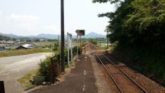 43554-4.jpg