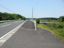 43555-5.jpg