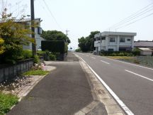 43555-6.jpg
