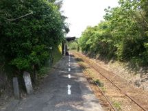 43558-3.jpg