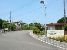 43561.jpg