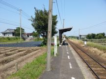 43562-1.jpg