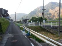 43583-3.jpg