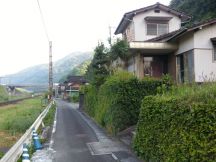 43583-4.jpg