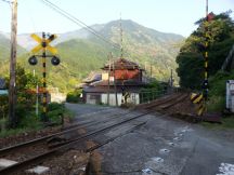 43588-4.jpg