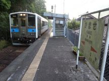 43591.jpg