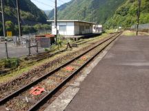 43598-1.jpg
