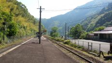 43598-3.jpg