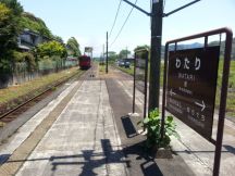 43603.jpg