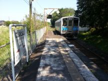 43614.jpg