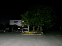 43633-4.jpg