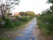 43638-4.jpg