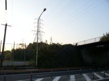 43639-1.jpg