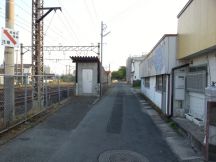 43641.jpg