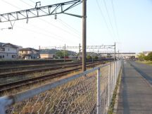 43642.jpg