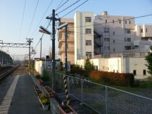 43644-2.jpg