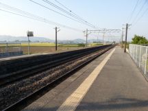 43645-1.jpg