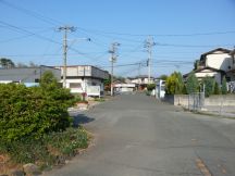43646-5.jpg