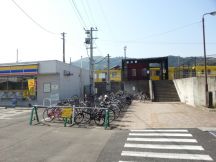 43649-4.jpg