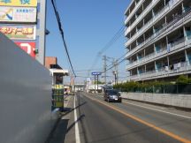 43649-6.jpg