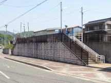43661-3.jpg