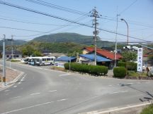 43661-5.jpg
