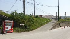 43662-6.jpg
