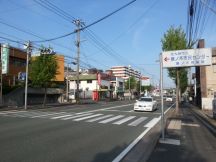 43676-5.jpg