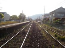 43677-1.jpg
