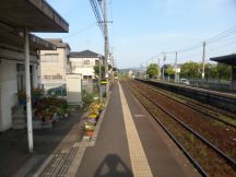43677.jpg