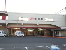 43681-3.jpg