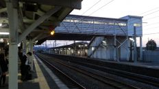 43687-1.jpg