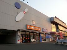 43700.jpg