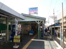 43717-5.jpg