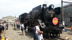 43729-1.jpg