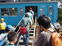 43733-1.jpg