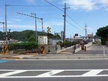 43768-5.jpg