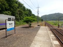 43775-1.jpg