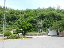 43775-4.jpg