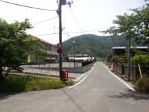 43775-5.jpg