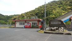 43781-4.jpg