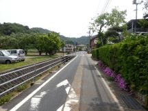 43783.jpg