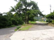 43797-1.jpg