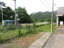 43797-5.jpg