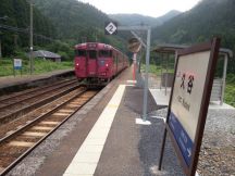 43805.jpg